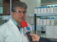 محققان بوشهری کیت تشخیص بیماری‌های میگو می‌سازند