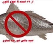اعلام ممنوعیت شوریده ماهیان