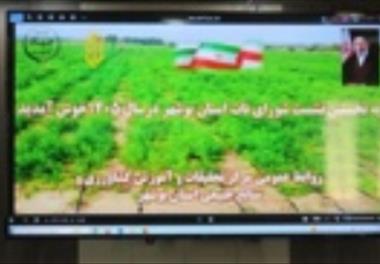 نخستین نشست شورای تحقیقات، آموزش و ترویج (تات) کشاورزی استان بوشهر برگزار شد