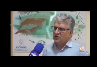 تلاش برای ساخت کیت های تشخیص سریع بیماری میگو