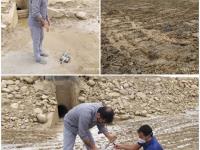 ردیابی بیماری ویروسی در نمونه های بنتوز موجود در کف استخرهای پرورشی بوشهر