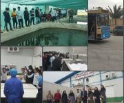 اولین اردوی دانش آموزی راهیان پیشرفت (علم و فناوری) در حوزه شیلات و آبزیان  در بوشهر