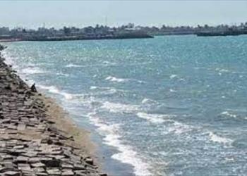  گزارش نهایی پروژه: بررسی بار آلودگی میکروبی آبهای ساحلی شهرستان بوشهر.