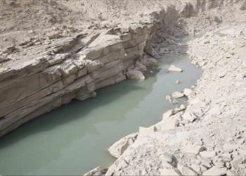 گزارش نهایی پروژه: بررسی لیمنولوژیک رودخانه‌های شاپور و دالکی، مرکز تحقیقات شیلاتی خلیج فارس. 1373