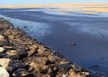 گزارش نهایی پروژه: بررسی آلاینده های آلی (کل هیدروکربن های نفتیTPHS  و پلی کلروبای فنیلPCBS) در آب های استان بوشهر